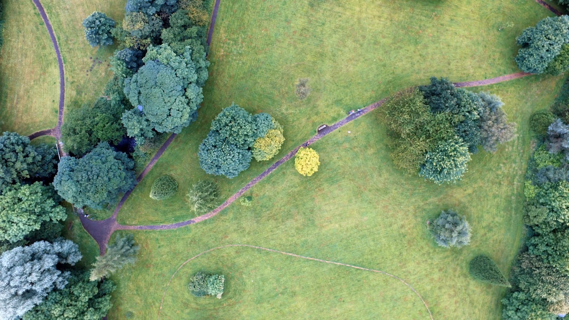 Aerial view of a city park